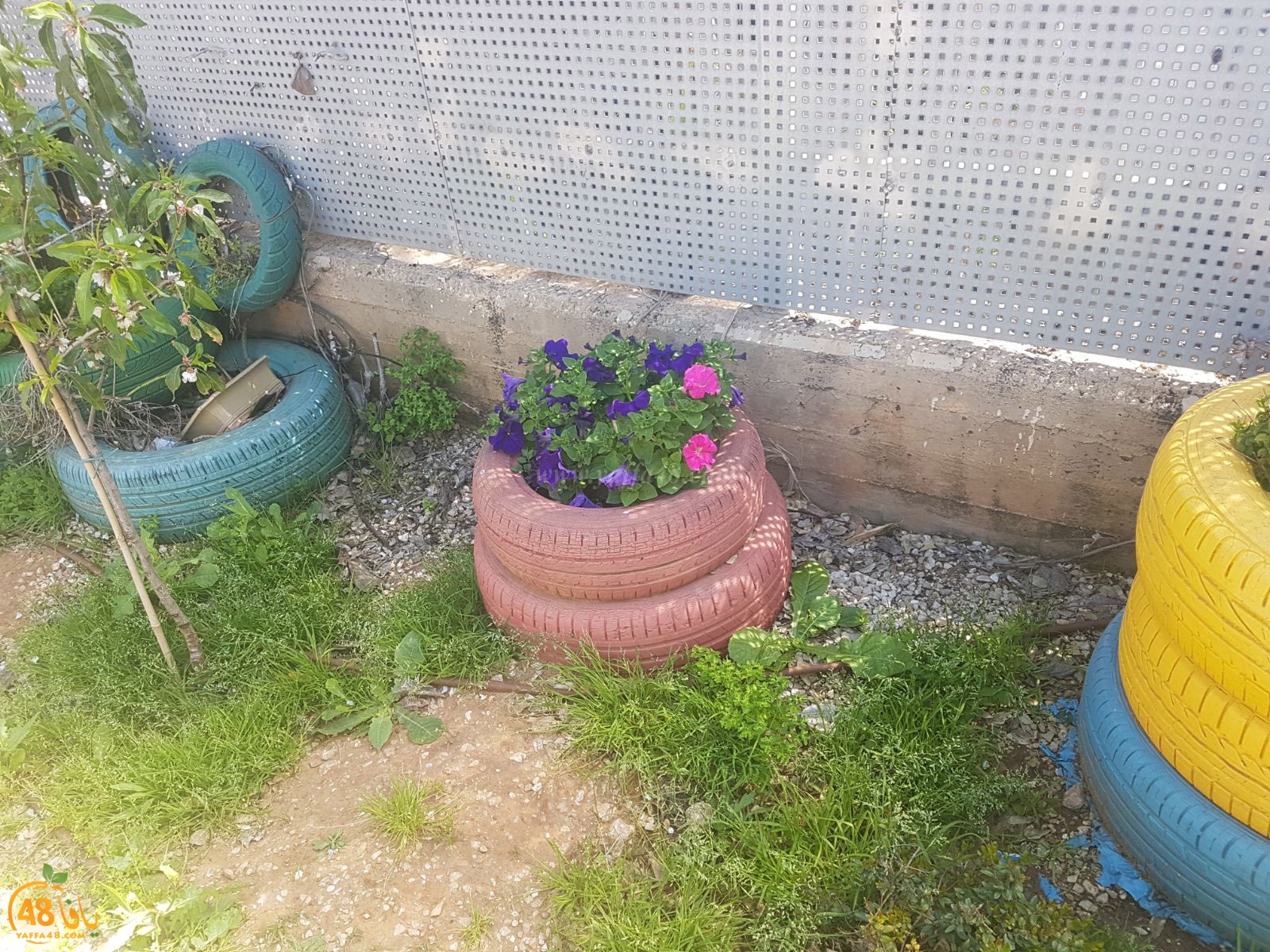 a3malkhayeret (43).jpg